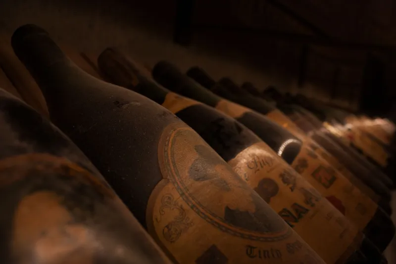 Hidden Gems in Every Glass: How Italian Regional Wines Beat French Prestige at Half the Price